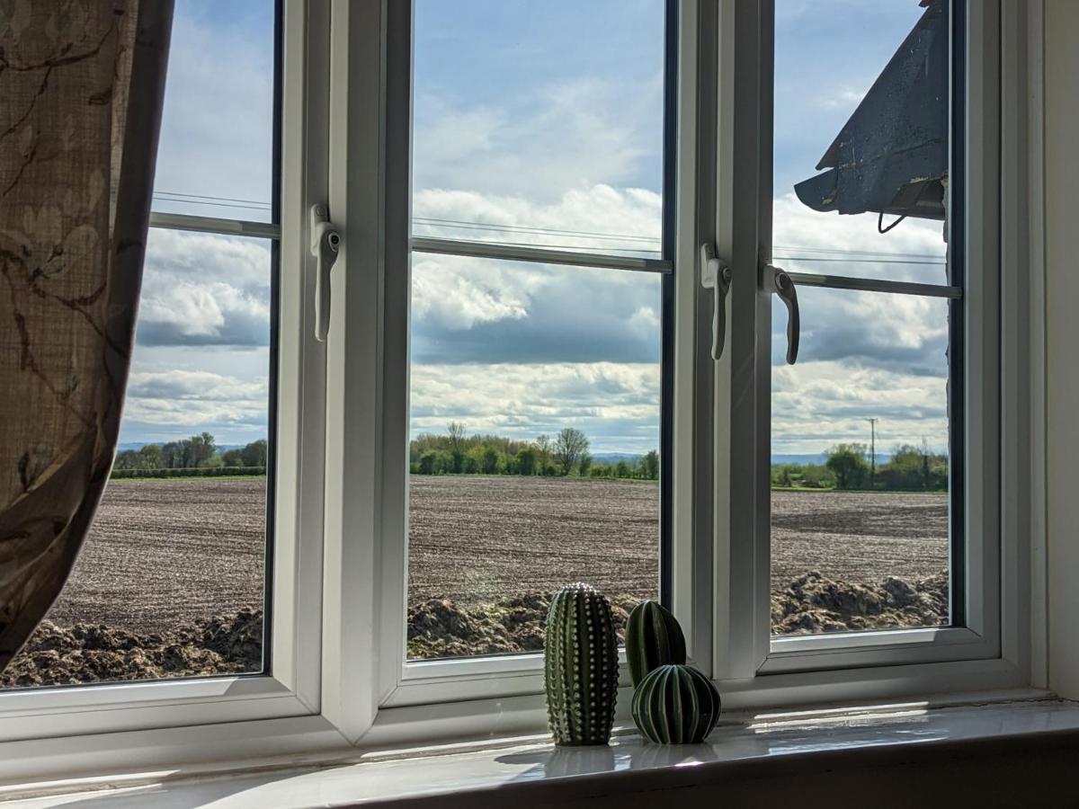 Cosy Family Cottage South Somerset Long Sutton  Exteriér fotografie